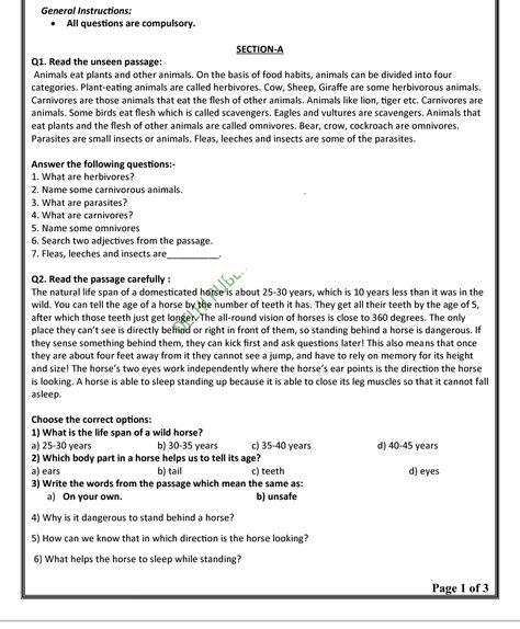 Unseen passage of English Unseen Passage, Grammar Tenses, Passage Writing, English Grammar Tenses, English Exam, English Grammar Worksheets, Bookmark Craft, Letter To The Editor, Reading Comprehension Passages