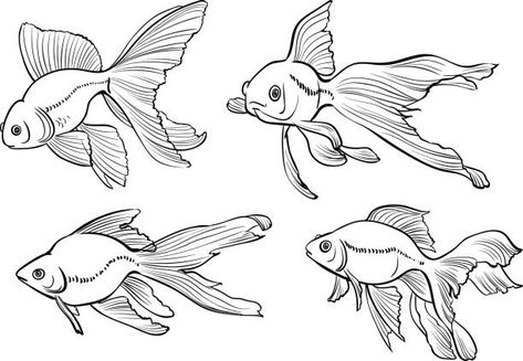 Sea Illustration, Animal Stencil, Fish Drawings, Outline Drawings, Cute Coloring Pages, 2d Art, Tattoo Design Drawings, Art Drawings Sketches Simple, Art Drawings Sketches