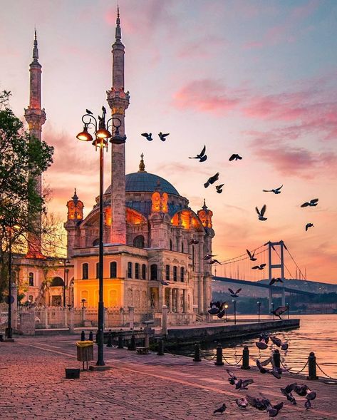 Best vacation destinations Istanbul Pictures, Istanbul Turkey Photography, Nice Photography, Istanbul Photography, Travel Turkey, Istanbul City, Istanbul Travel, Building Illustration, Mosque Architecture