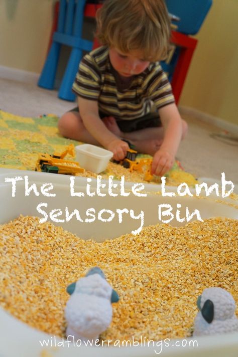 The Little Lamb Sensory Bin Quiet Boxes, Farming Activities, Farm Week, Messy Play Activities, Farming Ideas, Mommy Ideas, Mary Had A Little Lamb, Literature Activities, Sheep Crafts