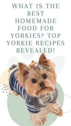 Yorkie Puppy Care, Yorkie Haircut, Homemade Food Recipes, Yorkie Hairstyles, Yorkie Haircuts, Ellie Mae, Best Treats For Dogs, Dog Remedies, Yorkie Moms