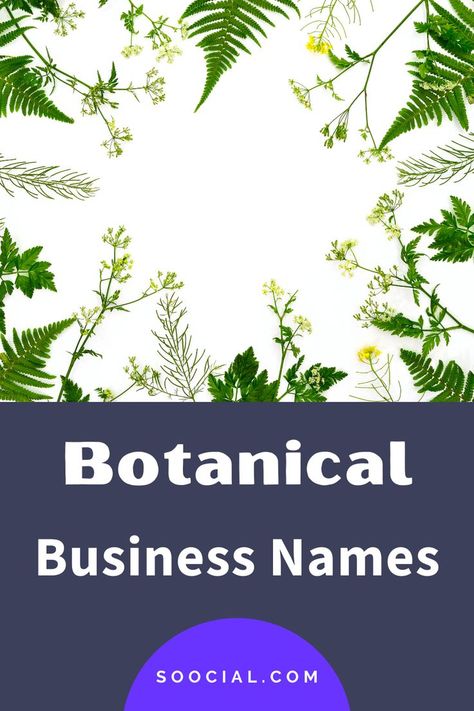 Herbal Business Names, Natural Cosmetics Brand Name Ideas, Garden Business Ideas, Plant Business Name Ideas, Herbal Names, Plant Shop Name Ideas, Plant Shop Names, Magazine Name Ideas, Cleaning Company Names