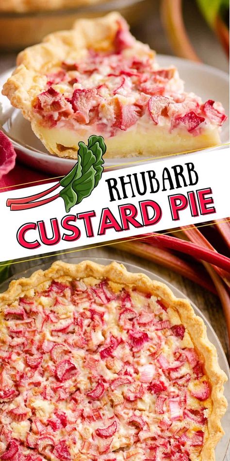 Rhubarb Custard Pie, Rhubarb Desserts Recipes, Rhubarb Custard Pies, Rhubarb Recipes Pie, Desserts Aesthetic, Custard Pie Recipe, Rhubarb Custard, Cobbler Easy, Favorite Pie Recipes