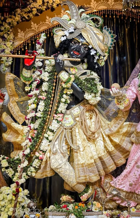 Vrindavan Images, Ha Wallpaper, Krishna Vrindavan, Vrindavan Dham, Krishna Photography, Krishna And Radha, Shree Radhe, Radha Krishna Quotes, Durga Images