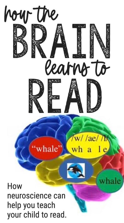 Science Of Reading Vocabulary, Science Of Reading For Parents, How To Teach Kids To Read, Teach To Read, Reading Intervention Activities, Reading Mastery, Reading Interventionist, The Science Of Reading, Phonics Rules