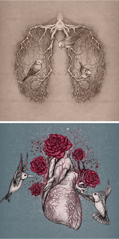 Katerina Eremeeva Flower Thoughts, Tattoo Heart, Probiotic Foods, Heart Flower, Human Heart, Wow Art, Arte Fantasy, Art And Illustration, Anatomy Art