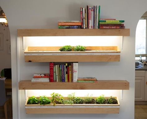 I added some bookshelves/grow lights to my indoor planter boxes Succulent Projects, Indoor Planter Box, Planter Box Plans, Indoor Grow Lights, Indoor Vegetables, Nyc Apt, Diy Planter Box, Aquaponics System, Indoor Herb Garden