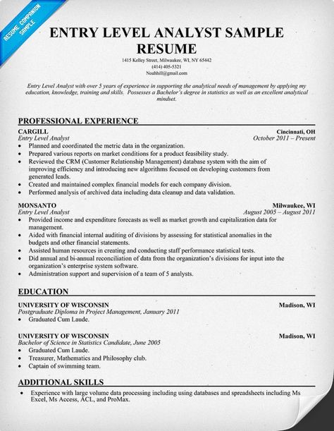 Business Analyst Resumes Data Entry Resume, Data Analyst Resume, Resume Business, Business Resume Template, Resume Summary Examples, Analyst Resume, Business Analyst Resume, Project Manager Resume, Job Resume Samples