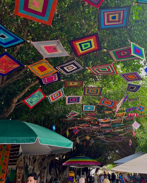 meanwhile in mexico …. Mexican Neighborhood, Elementary Art, The Neighbourhood, Plants, Art