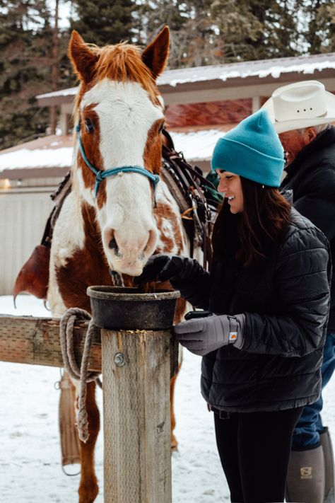 Montana Winter, A River Runs Through It, Canada Christmas, Kalispell Montana, Legends Of The Fall, Flathead Lake, Adventure Seeker, Fishing Guide, Trail Riding