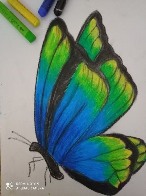 Colouring With Crayons, Simple Drawing Ideas Colourful, Color Pencil Art For Beginners Easy, Easy Colored Pencil Drawing Simple, Oil Pastel Butterfly, Drawing Ideas Creative Unique Colourful, Colour Pencil Drawing Easy, Colored Pencil Art Easy Ideas, Color Pencil Drawing Easy