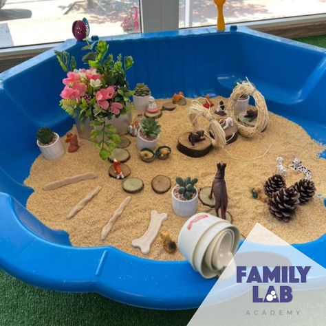 Dog Sensory Bin, Dog Sensory, Preschool Pets, Pet Vet, Lesson Planning, Sensory Bin, Sensory Bins, Sensory Activities, Dog Park