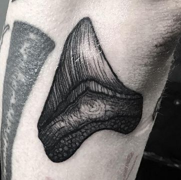 Shark tooth tattoo bij IG: merry_tattooer Shark Tooth Drawing, Sentimental Tattoos, Small Shark Tattoo, Shark Tooth Tattoo, Nautical Tattoo Sleeve, Ocean Sleeve, Tattooed Lady, Tooth Tattoo, Sharks Tooth