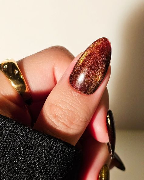 espresso velvet nails, are we liking brown for spring/summer? swipe for the vid! 🤎🌞 Ft. @gelcare.official Jelly Brown @dndgel Ember Enchantress 10 #magnetic #velvetnails #espresso #spring #cateyenails #pressons #grunge #retro #pinterestnails #90s #sodaonmylips #grungecore #velvetdynasty #torontonails #nailinspo #gelpolish #inbeautmag #nailstagram #springnails #brown #gelnails #brownnails #2024nails #ongles #uñas #gold #aesthetic Browns. Easy Velvet nails. Espresso. Press on nails. Magnet... Purple Velvet Nails, Velvet Nails, Cat Eye Nails, Gold Aesthetic, Brown Nails, Purple Velvet, Spring Nails, Gel Polish, Press On Nails