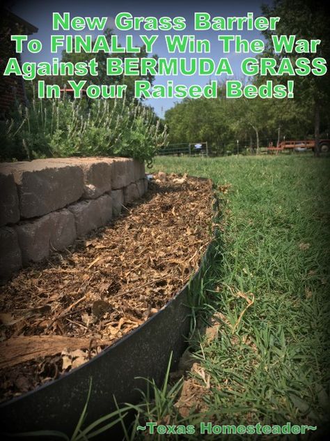 Grass Barrier Edging, How To Keep Grass Out Of Flower Beds, Yard Edging, Above Ground Garden, Grass Weeds, Texas Garden, Landscape Curbing, Pulling Weeds, Bermuda Grass