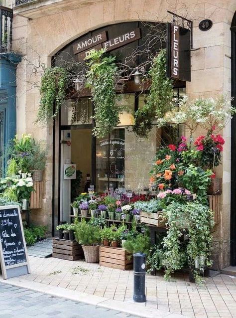 Flower Shop Exterior Design, German Flower, Flower Shop Interiors, Cafe Exterior, College Projects, White Chocolate Mocha, Creative Shop, Lover Girl, Flower Shops