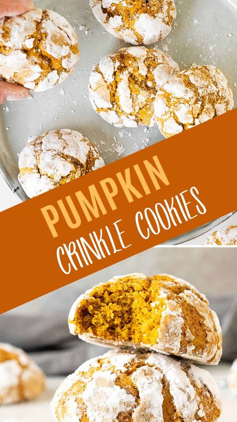 Beautiful pumpkin spice crinkle cookies with a chewy texture. A simple recipe for soft cookies covered in sweet powdered sugar that make a delicious treat for the holidays. A great idea to add to your fall season and pumpkin recipes file. Pumpkin Crinkle Cookies, Crinkle Cookies, Fall Food, Pumpkin Cookies, Pumpkin Dessert, Pumpkin Recipes, Scones, Fall Recipes, Yummy Treats