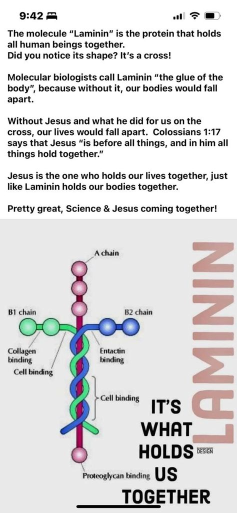 Laminin Molecule, Laminin Tattoo, Colossians 1, Love Truths, Scripture Quotes Bible, Our Body, Scripture Quotes, Bible Quotes, Quotes