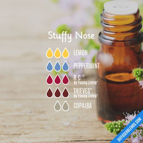 Stuffy Nose - Essential Oil Diffuser Blend Stuffy Nose Essential Oils, Sinus Relief Essential Oils, Essential Oil Blends For Colds, Essential Oils Allergies, Essential Oil Usage, Essential Oils For Colds, Essential Oil Diffuser Blends Recipes, Young Living Essential Oils Recipes, Essential Oils Guide