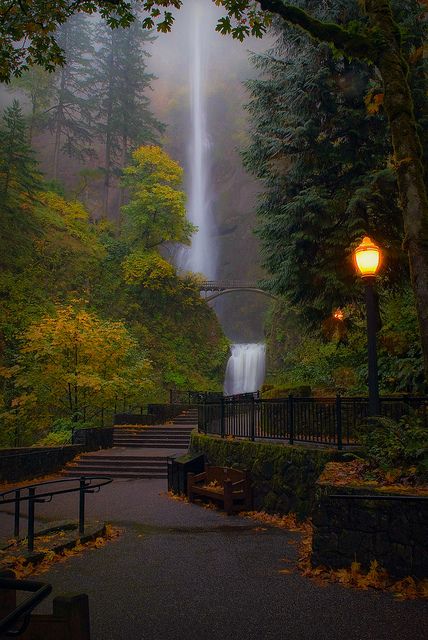 A Stairway to Heaven... Multnomah Falls, Oregon, US #travel Multnomah Falls Oregon, Multnomah Falls, Ulsan, Stairway To Heaven, To Infinity And Beyond, Pretty Places, Oh The Places Youll Go, Scenic Views, In The Woods