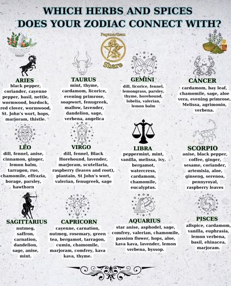 Zodiac Herbs, Hoodoo Witch, Witch Astrology, Taurus Zodiac Quotes, Witch Life, Art Planner, Witch Tips, Moon In Aquarius, Green Witchcraft