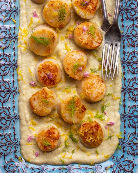 Scallops Fennel, Fennel Puree Recipe, Best Scallop Recipe, Seafood Pot Pie, Vegan Scalloped Potatoes, Scallop Pasta, Creamy Garlic Pasta, Cooking With Fresh Herbs, Smoked Oysters