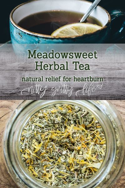 Digestive Herbs: Soothing Meadowsweet & Heartburn Relief Tea #herbalism #naturalhealth #herbalmedicine #naturalremedies #meadowsweet #tea #recipes #heartburn #remedies White Meadowsweet, Nourishing Drinks, Tea Medicine, Bitter Herbs, Herbal Wellness, Digestive Herbs, Tea Magic, Tea Herbs, Reflux Diet