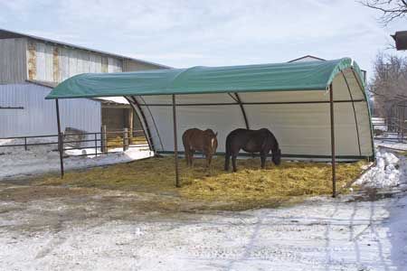 Temporary Horse Shelter, Covered Horse Arena, Diy Horse Shelter, Pasture Shelter, Horse Shelters, Horse Shed, Livestock Shelter, Horse Farm Ideas, Horse Paddock