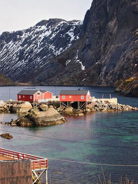 Norwegian Fishing Village, Norway Fishing Village, Nordic Fishing Village, Nusfjord Norway, Lofoten Islands Norway, Beautiful Norway, Lofoten Islands, Visit Norway, Seaside Village