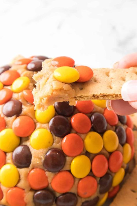 Reese’s Cheese Ball - Happy Homeschool Nest Reeses Recipes, Reese's Recipes, Flavored Cream Cheese, Dessert Cheese Ball, Flavored Cream Cheeses, Cream Cheese Ball, Chunky Peanut Butter, Butter Cheese, Cheese Balls