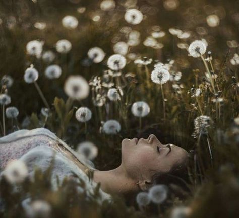 ♡ David Dubnitskiy, Dandelion Wish, Montage Photo, Flower Quotes, The Meadows, Nature Quotes, Foto Inspiration, The Grass, Shoot Ideas