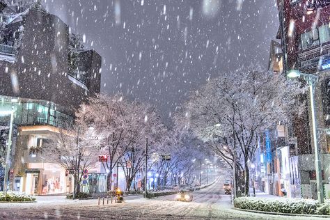 https://flic.kr/p/D5L8MC | Tokyo Snow 2016 | Snow on the streets of Tokyo's Harajuku neighborhood in January of 2016. These photos were taken in the early morning hours just before the sun came up. Winter Wallpaper Desktop, Tokyo Winter, Japan Winter, Japanese Town, Monte Fuji, Snowy Night, Computer Wallpaper Desktop Wallpapers, Winter Background, Theme Background