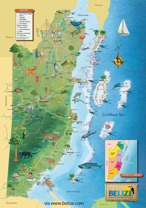 Map Of Belize, Belize Honeymoon, Belize Vacations, Belize City, Tegucigalpa, Tourist Map, Belize Travel, Central America Travel, Caribbean Vacations