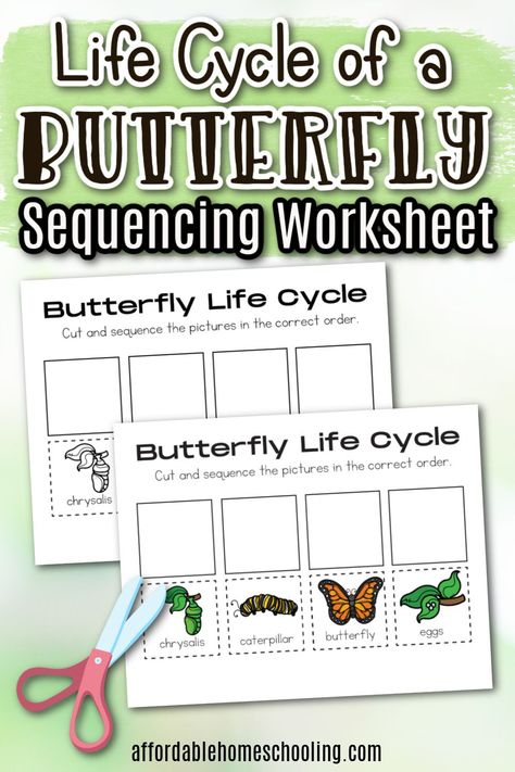 This free butterfly life cycle worksheet is perfect for helping young learners connect with nature. It's the perfect addition to your life cycle activities for kids. Preschool Life Cycle Activities, Ladybug Worksheet, Preschool Butterfly Activities, Butterfly Life Cycle Worksheet, Butterfly Life Cycle Kindergarten, Butterfly Life Cycle Preschool, Preschool Insects Activities, Life Cycle Of A Ladybug, Life Cycle Worksheet