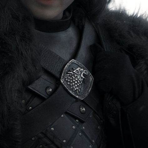 House Stark Aesthetic Wallpaper, Cregan Stark Aesthetic, Winterfell Art, Sara Snow, Westeros Aesthetic, Arya Stark Aesthetic, Cregan Stark, Stark Aesthetic, Dragon Wolf