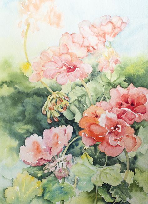 Watercolour — Linda Virio Encaustic Anne Mortimer, Watercolor Projects, Landscape Designs, Watercolor Inspiration, Watercolor Cards, The Net, Geraniums, Botanical Art, Flocking