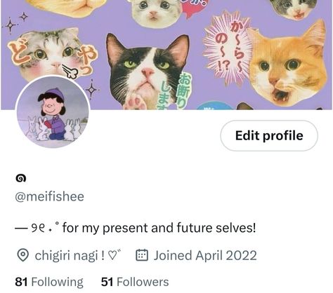 Aesthetic Bio For Twitter, Twitter Account Aesthetic, Bio Do Twitter, Twitter Account Ideas, Instagram Profile Layout, Twitter Layout Ideas, Twitter Bio Ideas, Ig Profile Ideas, Bio Twitter