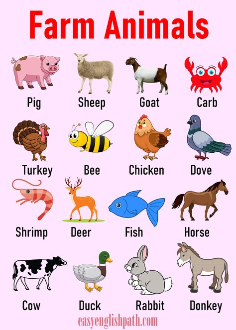 Farm Animals List A-Z in English with Pictures. Farm Animal Vocabulary with Meaning Vocabulary With Meaning, Farm Animals List, Animals Name List, Animal Vocabulary, Animals List, Farm Animals Pictures, Animals Name In English, Nocturnal Birds, Animal Names