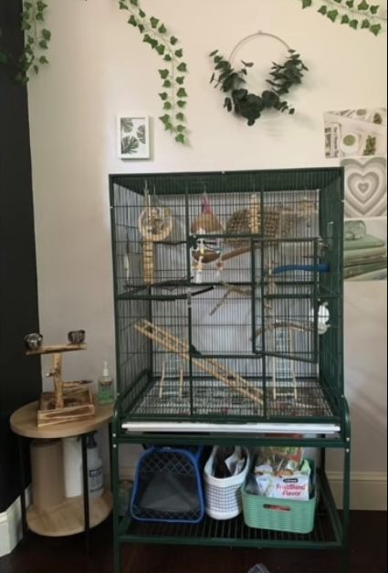 Aesthetic Bird Cage Setup, Cockatiel Bird Cage Setup, Cockatiel Cage Setup Ideas, Aesthetic Bird Cage, Bird Cage Aesthetic, Bird Setup, Bird Cage Setup, Budgie Cage Setup, Bird Cage Ideas