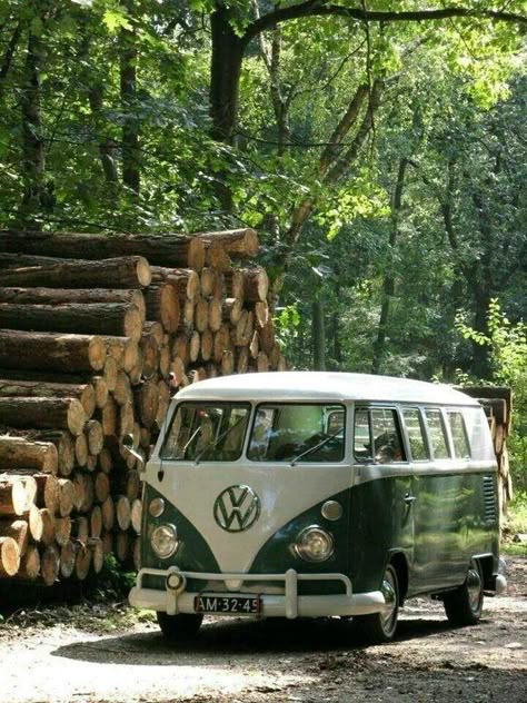 Van Design Ideas, Camper Van Design, Vw Minibus, T6 California, Vw Westfalia, Volkswagen Vans, T1 Bus, Van Vw, Kombi Home