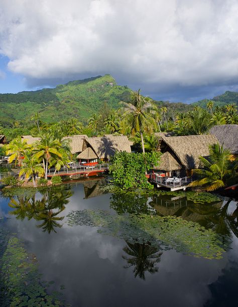 Ancient Polynesia, Paradise Places, Marquesas Islands, Honeymoon Hotel, South Pacific Islands, Travel Wishes, Nice Places, Pacific Islands, Exotic Places