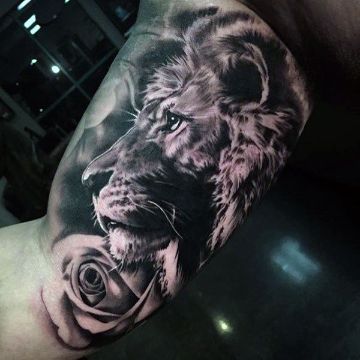 tatuajes de leon en el brazo magnificos sombreados Tattoo Inside Arm, Inside Bicep Tattoo, Lion Arm Tattoo, Lion Sleeve, Tattoo Special, Bicep Tattoo Men, Inner Arm Tattoos, Inner Bicep Tattoo, Mens Lion Tattoo