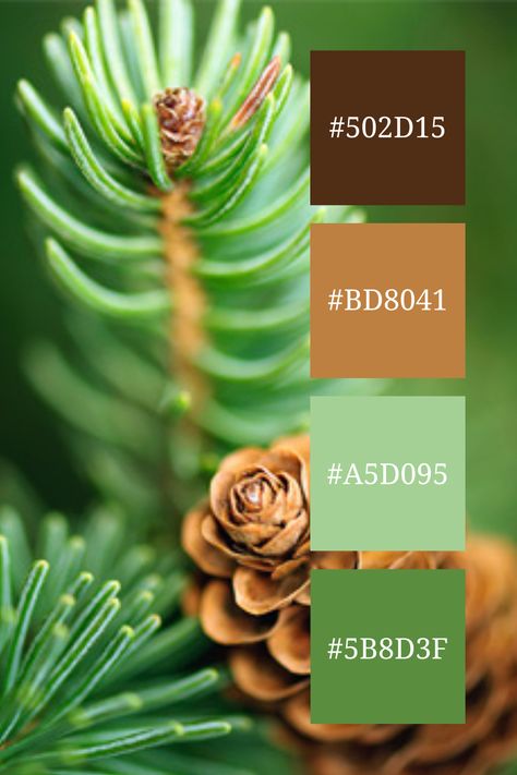 A close-up shot of a pine cone nestled amidst lush green pine needles  perfectly capturing the brown and green color palette. Brown And Green Color Palette, Color Scheme Generator, Green Color Palette, Green Colour Palette, Palette Color, Brown And Green, Color Harmony, Color Balance, Color Palette Generator