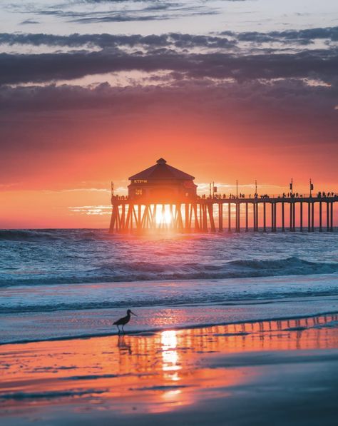 Photo Credits: Derek Liang Stormy Sunset, Beach Sunset Photography, Huntington Beach Pier, Beautiful Beach Pictures, Huntington Beach California, Huntington Beach Ca, Surf City, Tropical Beaches, Sunrise Beach