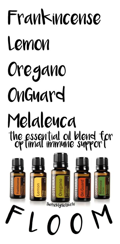 F.L.O.O.M. Recipe - Essential Oil Recipes for Immune Support Doterra Immune Support, Doterra Cold Remedy, Doterra Oregano Oil, Doterra Oregano, Lisa White, Melaleuca Essential Oil, Doterra Frankincense, Doterra Oils Recipes, Doterra Blends