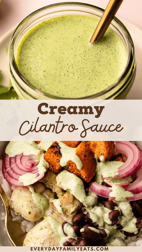 A zippy and bright creamy Cilantro Sauce recipe, perfect for marinating, drizzling, dipping, and just generally brightening up anything it's used on. Cilantro Sauce For Chicken, Cilantro Sauce Recipe, Chicken Orzo Pasta, Creamy Cilantro Sauce, Mexican Sauces, Parmesan Green Beans, Cucumber Avocado Salad, Greek Chicken Salad, Mexican Sauce