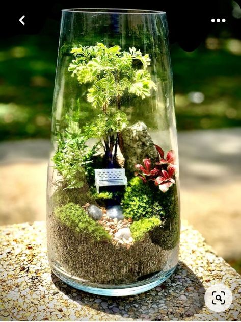 Class Terrarium, Ecosystem Terrarium, Plant Ecosystem, Home Interior Design 2023, Modern Indoor Plants, Indoor Plants Decor Ideas, 2023 Home Interior, Indoor Plants Decor, Diy Succulent Terrarium