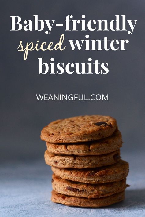 These baby-friendly spiced winter biscuits are a great alternative to gingerbread and sugar-free too. You can make these with your kids and enjoy eating them together as Christmas cookies why not? Weaning Ideas, Sugar Free Biscuits, Gift In A Jar, Baby Led Weaning First Foods, Kid Meals, Baby Meals, Baby Led Feeding, Foods Ideas, Easy Baby Food Recipes