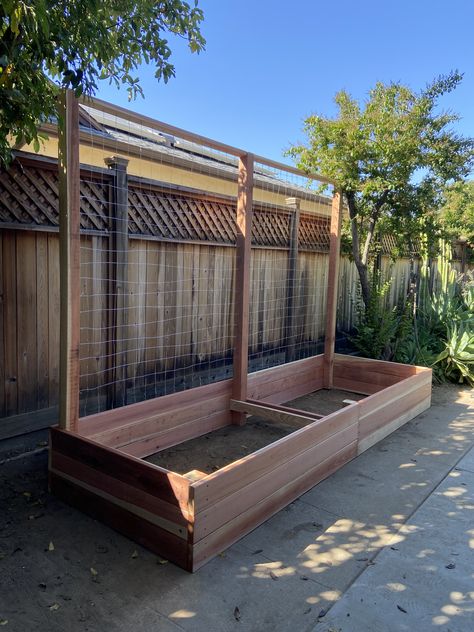 12' Garden box with trellis Cheap Garden Beds, Garden Bed With Trellis, Cheap Raised Garden Beds, Colorado Garden, Backyard Planters, Raised Garden Beds Diy Vegetables, Tomato Growing, Planter Box With Trellis, Garden Hacks Diy