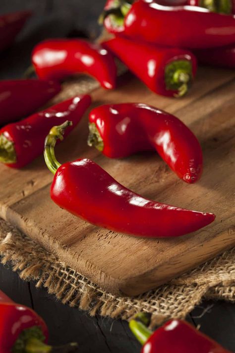 Fresno Peppers, Fresno Chili, Chilli Plant, Deco Fruit, Serrano Pepper, Chile Pepper, Fruit Photography, Chilli Pepper, Red Hot Chili Peppers